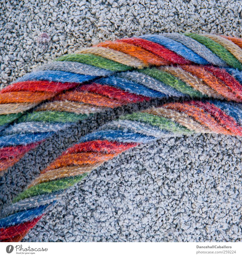 Close-up of a rope in rainbow colours Rainbow Rope Multicoloured Lifestyle Homosexual Design Solar Power Art lifestyle same-sex love Sexuality Hip & trendy