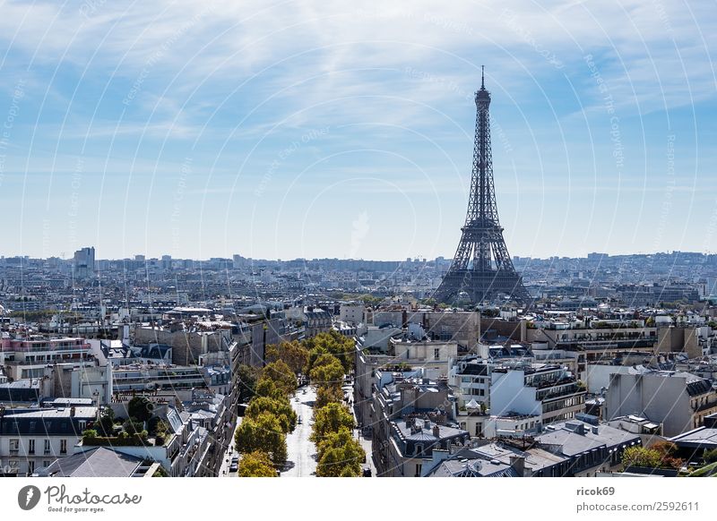 View of the Eiffel Tower in Paris, France Relaxation Vacation & Travel Tourism City trip Clouds Autumn Tree Town Capital city Building Architecture