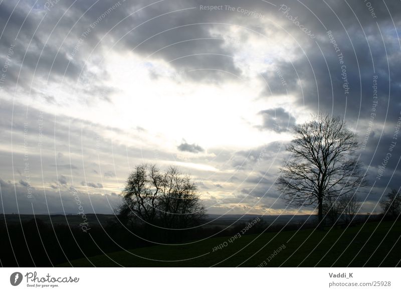 Open Sly Clouds Raincloud Back-light Winter Tree Sky