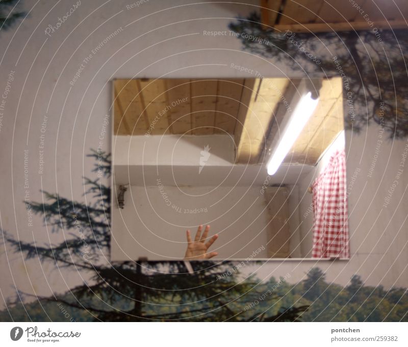 Interior design. Wallpaper with trees. Hand is reflected in the wall mirror. Waving. humor. Mirror Bathroom by hand Red White Wave Toilet Drape Checkered Forest