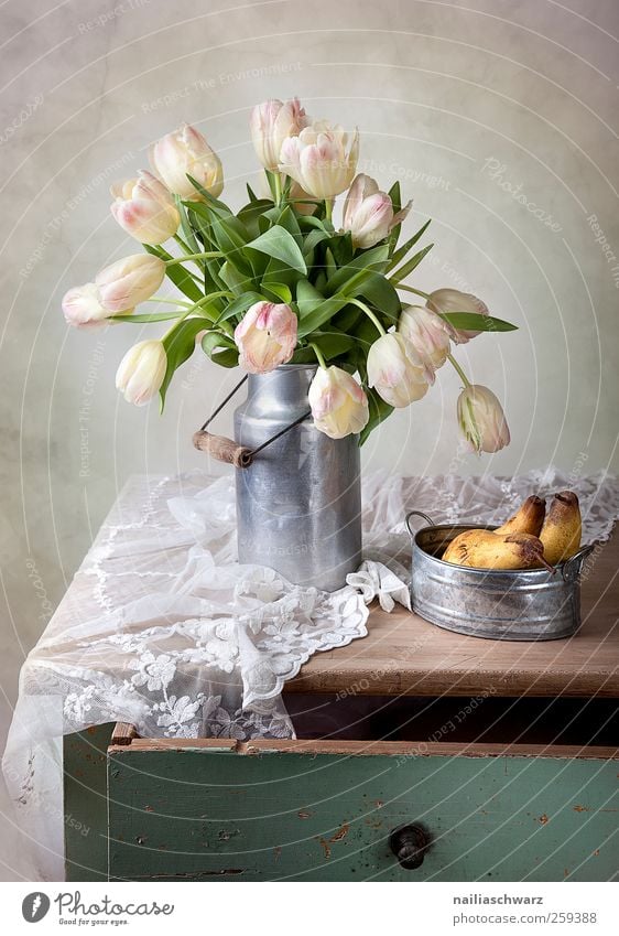 Still life with tulips Food Fruit Pear Nutrition Milk churn Art Work of art Plant Flower Tulip Leaf Blossom Bowl Table Lace Wood Metal Blossoming Lie Esthetic