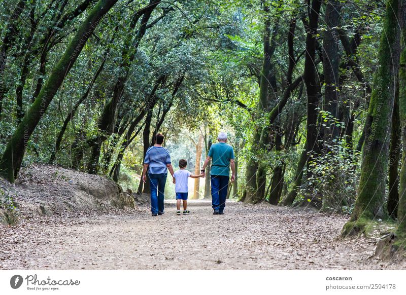Retired couple walking their grandson on the path of a forest Happy Beautiful Leisure and hobbies Far-off places Child Human being Toddler Boy (child) Woman