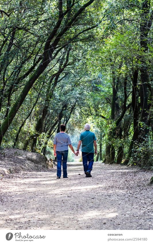 Retired couple walking together on the path of a forest Lifestyle Happy Beautiful Healthy Health care Wellness Relaxation Calm Meditation Far-off places
