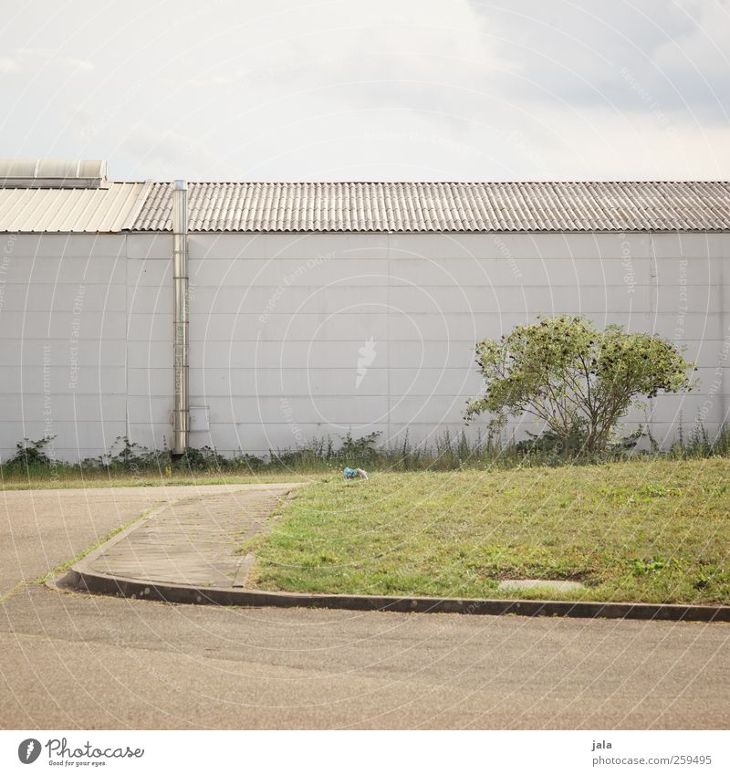 . Sky Plant Bushes Meadow House (Residential Structure) Factory Manmade structures Building Architecture Street Lanes & trails Town Colour photo Exterior shot