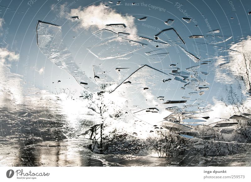 The broken sky Environment Nature Landscape Elements Water Sky Clouds Winter Climate Beautiful weather Ice Frost Plant Park Lakeside Bog Marsh Pond Freeze