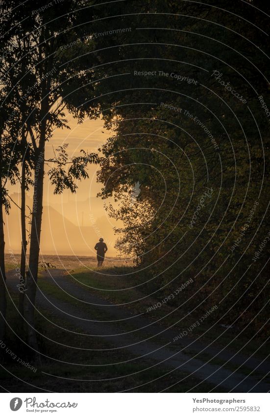 Man running silhouette at sunrise Lifestyle Freedom Sports Sportsperson Jogging Adults 1 Human being Nature Landscape Autumn Fog Tree Forest Athletic Success