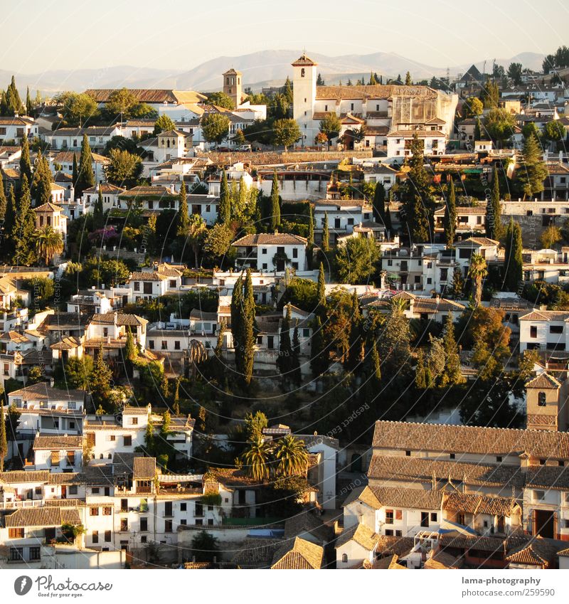 Albaicín [VIII] Vacation & Travel Tourism Trip City trip Sunlight Hill Granada albaicin Andalucia Spain Town Downtown Old town House (Residential Structure)