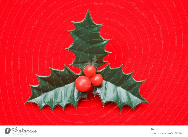 Christmas holly Stock Photos, Royalty Free Christmas holly Images