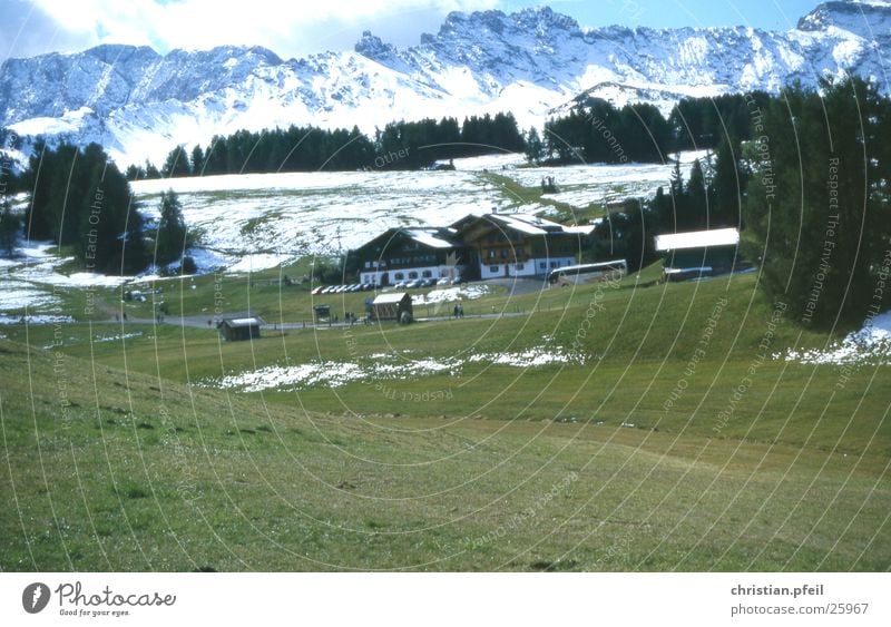 Alpe di Siusi Alpine pasture Meadow Tree Hotel Human being Restaurant Europe House (Residential Structure) Vacation & Travel Seis Dolomites Tourist Tourism