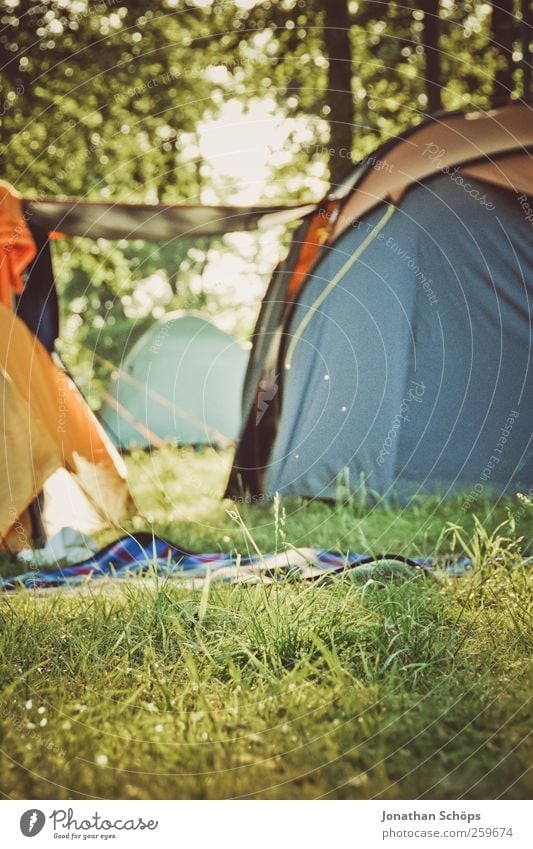 Camping in the forest Environment Nature Landscape Beautiful weather Grass Meadow Forest Emotions Moody Joy Contentment Joie de vivre (Vitality) Together Tent