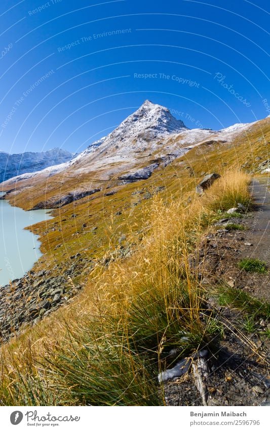 Mountain peaks with grass and snow Nature Landscape Plant Sky Autumn Weather Beautiful weather Snow Grass Hill Peak Snowcapped peak Lakeside Blue Green White