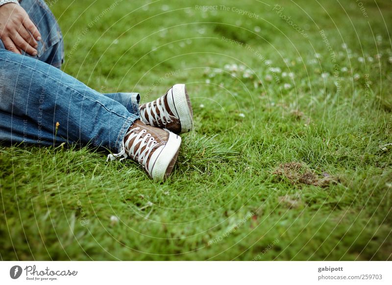 to lie again on the meadow would be beautiful! Masculine Legs Feet Landscape Summer Beautiful weather Park Meadow Lie Hip & trendy Positive Blue Green