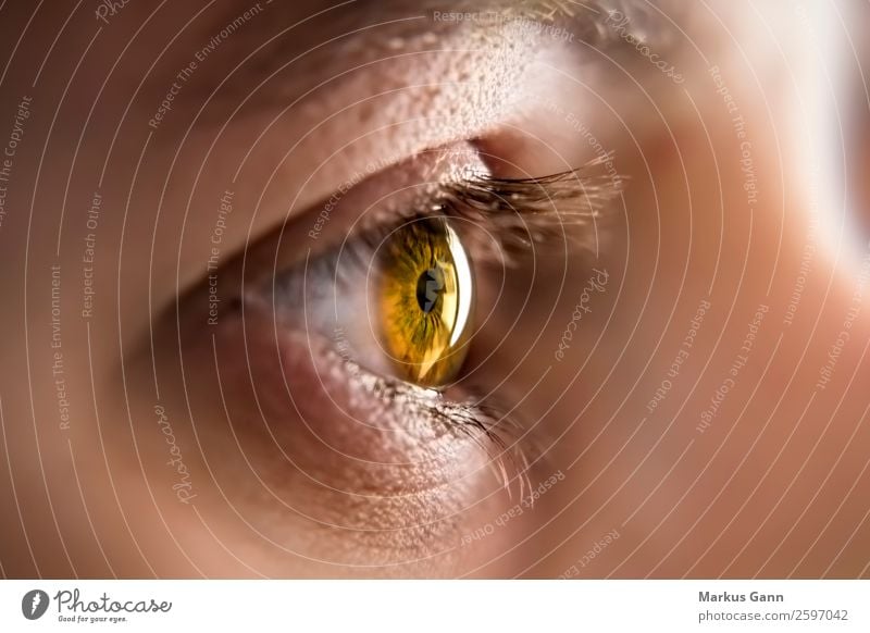 Eye of a young woman Beautiful Face Health care Human being Woman Adults Eyes Observe Brown Black White Colour Iris close up pupil Beauty Photography Eyelash