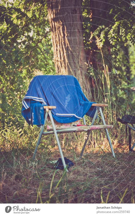 They dug up the folding chair... Lifestyle Style Vacation & Travel Trip Adventure Far-off places Freedom Summer vacation Nature Beautiful weather Tree Grass
