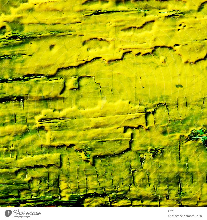 green to yellow Wood Old Crazy Yellow Green Protection Decline Transience Change Varnish Background picture Erosion Colour photo Multicoloured Exterior shot