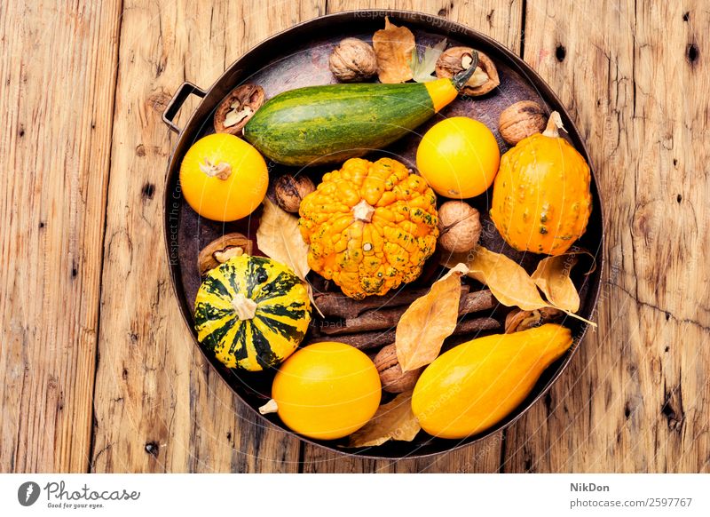 Autumn pumpkin in tray autumn fall season seasonal vegetable leaf autumn pumpkin september autumn card autumn harvest walnut seed food yellow fallen leaves