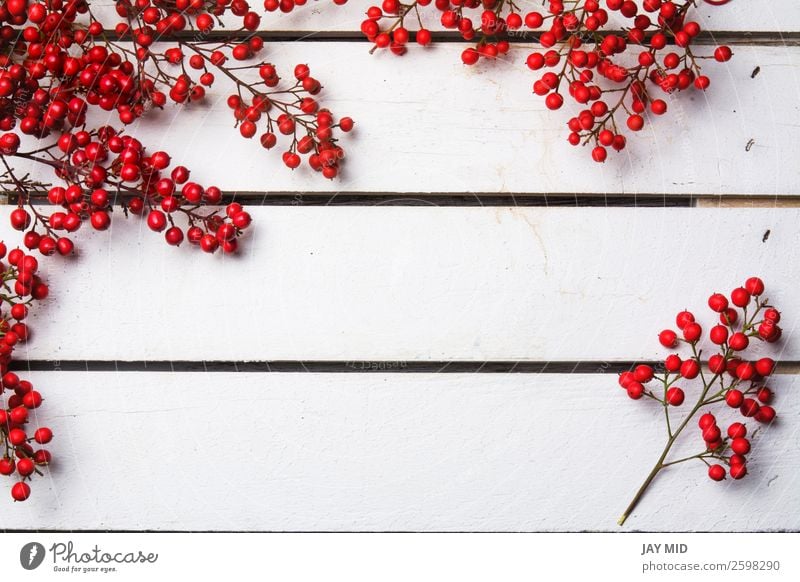 nandian christmas branch with red berries, white wood background Joy Winter Decoration Feasts & Celebrations Christmas & Advent Nature Bright Red White Colour