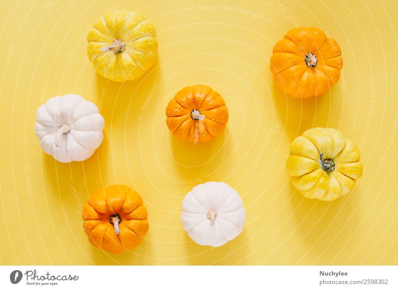 Flat lay style of fresh organic pumpkins Vegetable Style Design Life Decoration Wallpaper Feasts & Celebrations Thanksgiving Hallowe'en Nature Autumn Fresh