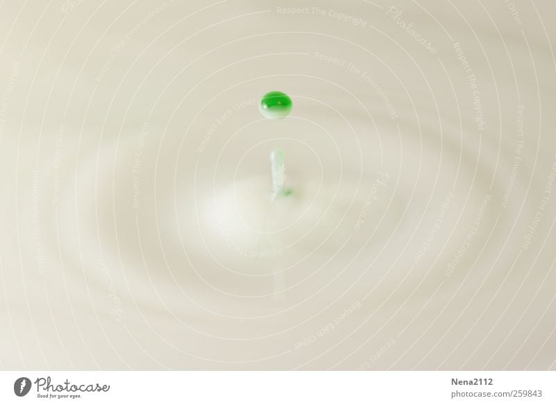THE GREEN DOT Dairy Products Milk Movement Jump Esthetic Fluid Funny Near Wet Original Round Clean Speed Green White Drop Dripping Drops of water