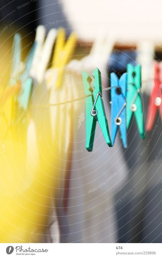 clips Plastic To hold on Blue Yellow Green Dry Clothes peg Colour photo Multicoloured Exterior shot Detail Deserted Copy Space bottom Day Light Shadow Sunlight