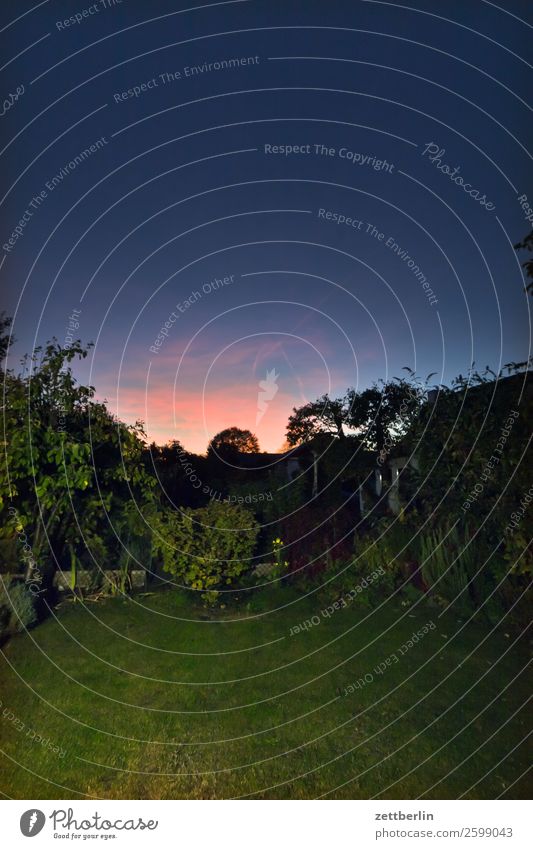 Twilight in the garden Evening Dark Colour Play of colours Closing time Sky Heaven Background picture Deserted Romance Sunset Spectral Copy Space Weather Night