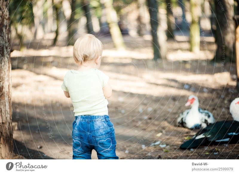duck(ckung) Contentment Senses Human being Masculine Feminine Child Toddler Girl Boy (child) Infancy Life 1 - 3 years Nature Summer Beautiful weather Forest