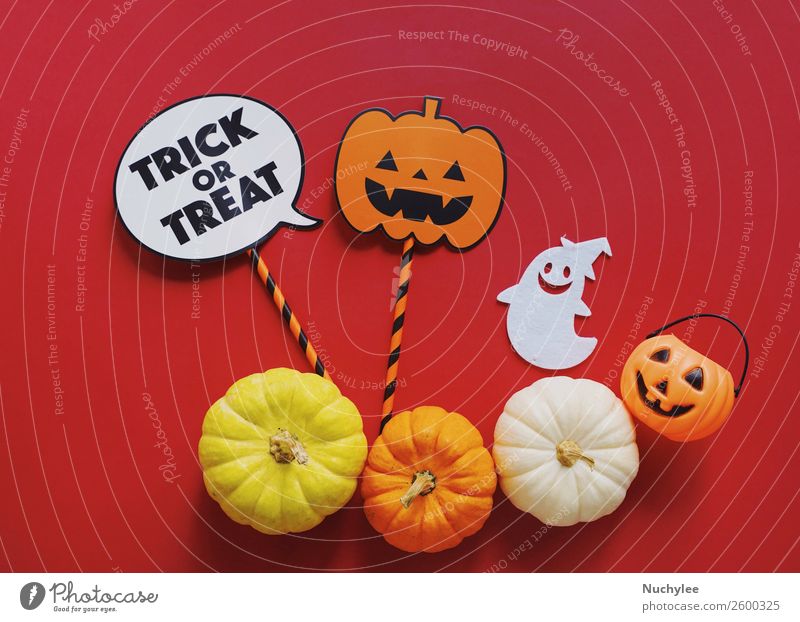 Flat lay of halloween props with pumpkins Design Joy Happy Decoration Feasts & Celebrations Thanksgiving Hallowe'en Art Autumn Ornament Hip & trendy Cute Retro