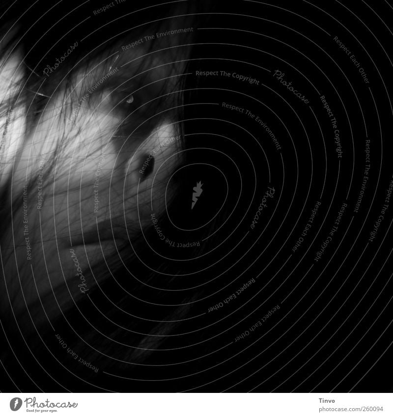 What If There Was No Light (2) Feminine Young woman Youth (Young adults) Woman Adults Head Hair and hairstyles Face Eyes 1 Human being 18 - 30 years