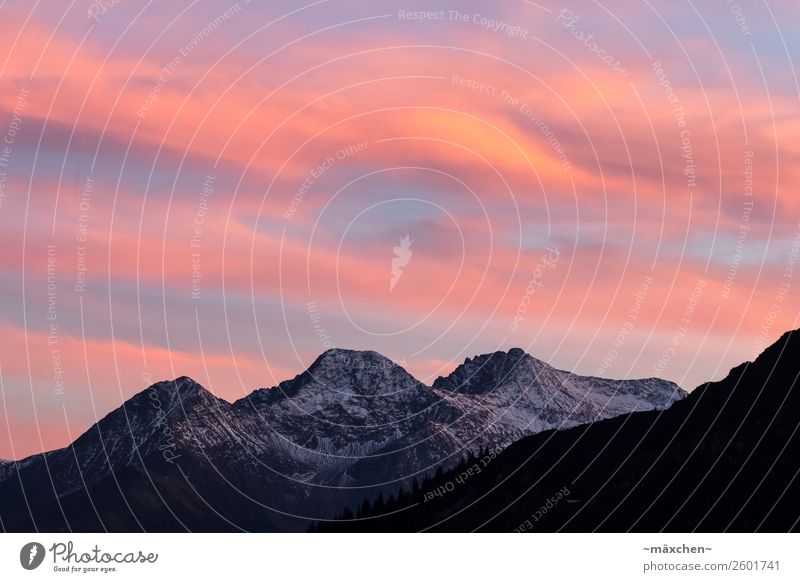 Sunset in the mountains Nature Landscape Sky Clouds Sunrise Snow Tree Forest Rock Alps Mountain Peak Snowcapped peak Natural Beautiful Blue Pink Red White