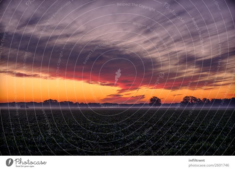 colourful autumn morning Nature Landscape Sky Clouds Horizon Sunrise Sunset Autumn Fog Field Forest Esthetic Natural Yellow Violet Orange Red Black Grateful