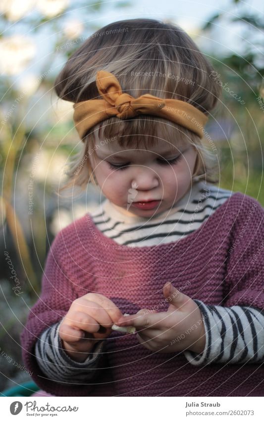 Girl Browband Knit Sweater Nature Garden Knitted sweater Striped sweater Headband Bow Short-haired Curl Bangs Observe Touch Movement Looking Cute Violet Infancy