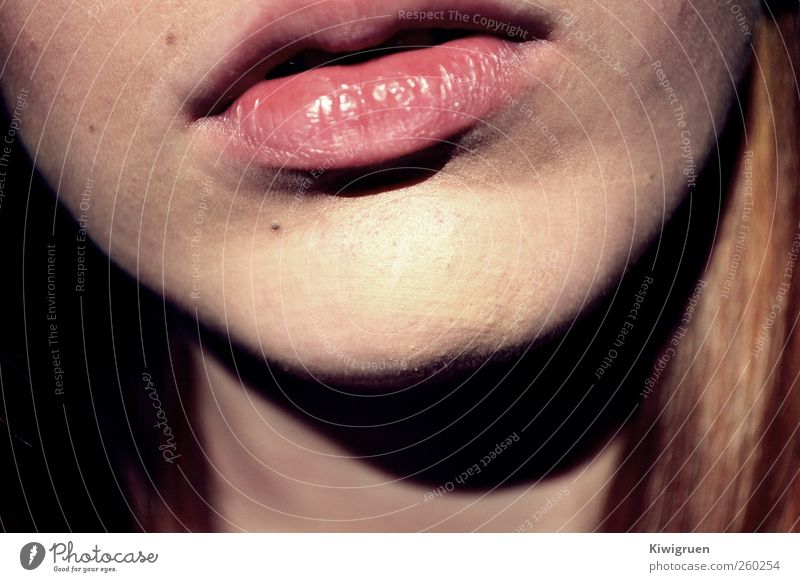 lips don't lie Feminine Young woman Youth (Young adults) Mouth Lips 1 Human being Esthetic Uniqueness Natural Colour photo Experimental Artificial light