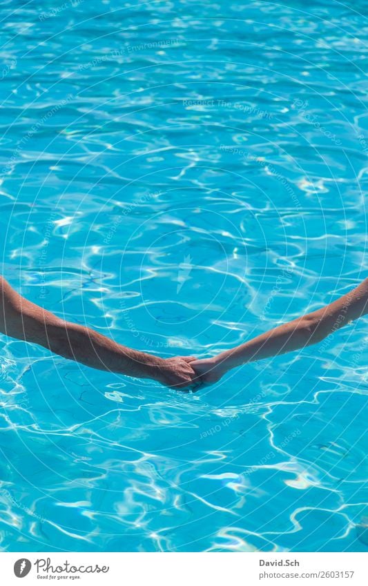 Holding hands at the pool Vacation & Travel Tourism Summer Summer vacation Swimming pool Human being Woman Adults Man Couple Arm Hand 2 Touch To hold on