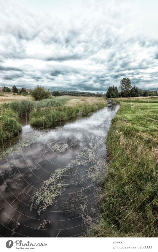 The Garden Environment Landscape Water Sky Clouds Horizon Summer Climate Weather Beautiful weather Field Brook Blue Green Black White Calm Idyll Colour photo