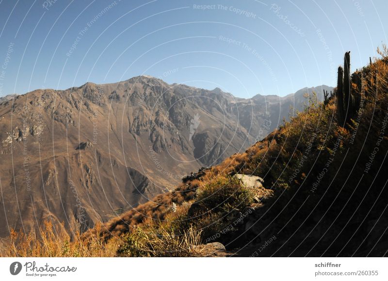 Cañón del Colca Environment Nature Landscape Elements Earth Sand Air Sky Cloudless sky Sunlight Summer Climate Beautiful weather Rock Mountain Peak Canyon Dry