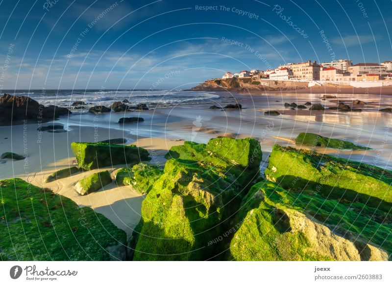 Green rocks with algae on the Atlantic beach with fishing village in the background Vacation & Travel Beach Ocean Rock Portugal Sky Sunlight Summer