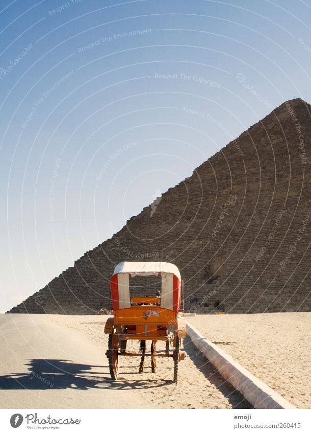 carriage with legs Environment Nature Landscape Sky Cloudless sky Drought Desert Animal Farm animal Horse 1 Exceptional Chauffeur Pyramid Colour photo