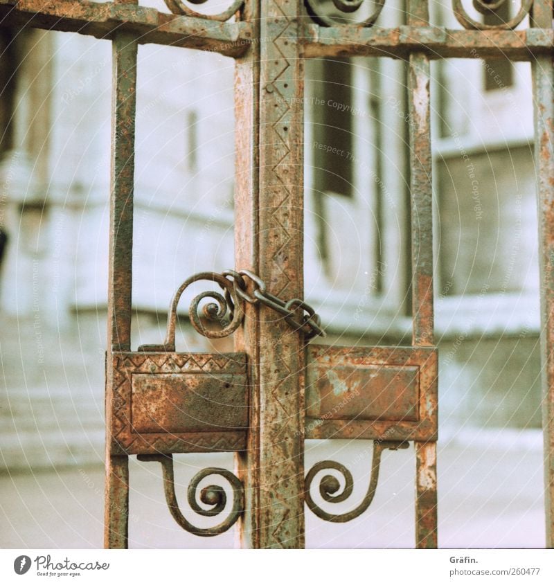 Closed Decoration Gate Metal Rust Lock Old Authentic Brown White Safety Protection Secrecy Bans Chain Iron Wrought iron Colour photo Exterior shot Day
