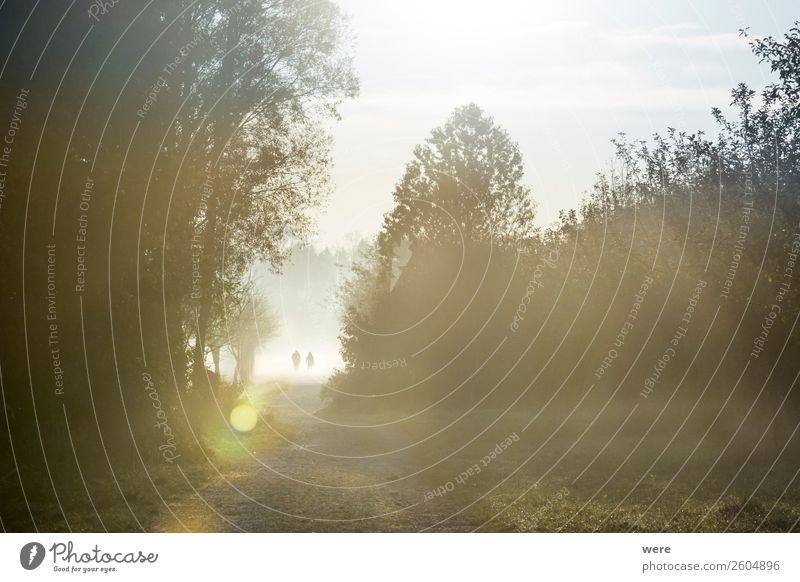 Hikers in the morning mist Nature Fitness Walking Life Beginning hiker sunbeams copy space dust field Glitter haze hiking landscape lane light Manure heap misty