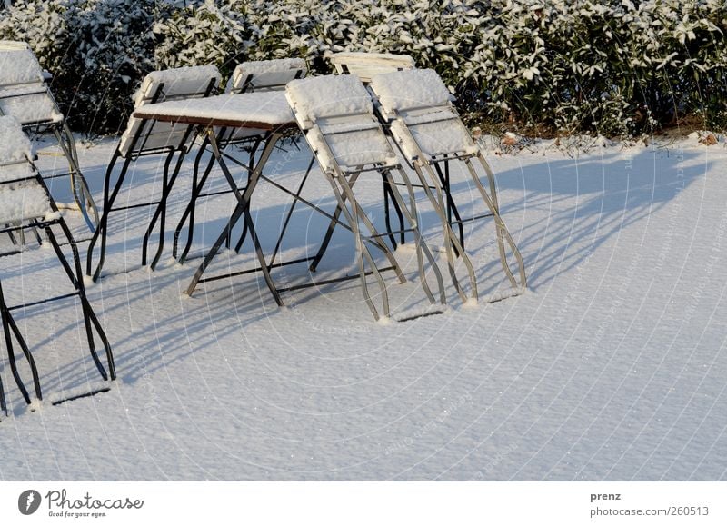 beer garden Ice Frost Snow Bushes Park Green White Winter Folding chair Chair Table Beer garden Colour photo Exterior shot Deserted Copy Space right Morning