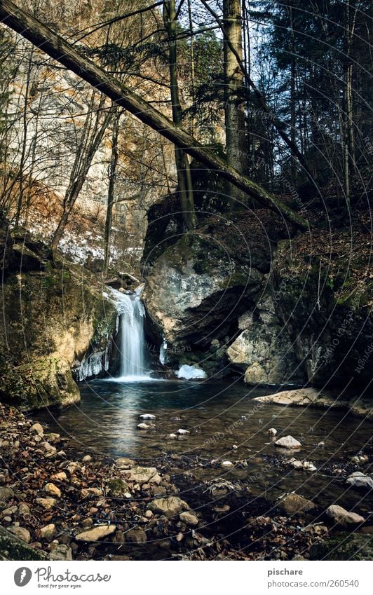 natural Environment Nature Landscape Water Forest Brook Waterfall Calm Colour photo Exterior shot Day Deep depth of field Wide angle
