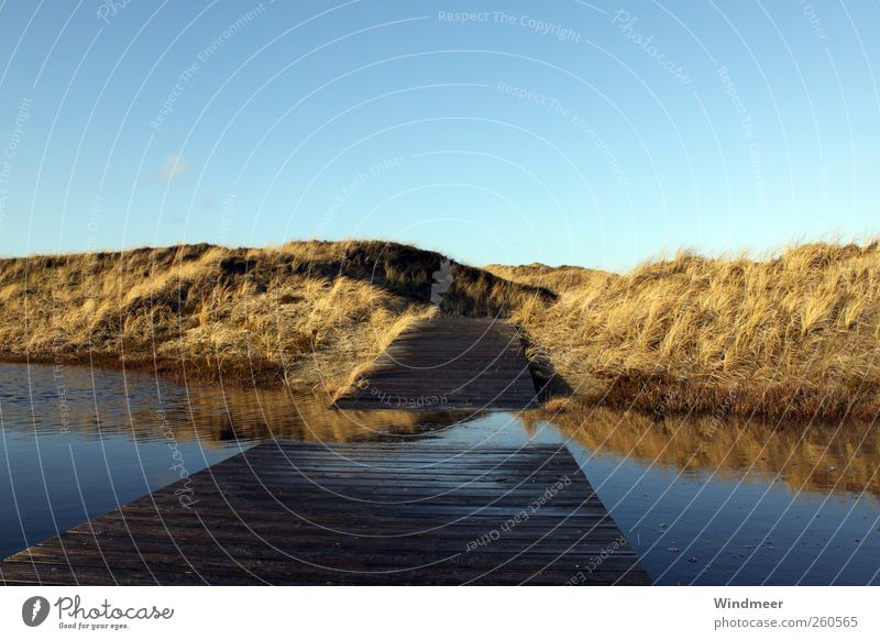 gumboot path Relaxation Calm Vacation & Travel Tourism Trip Freedom Sunbathing Beach Ocean Island Hiking Nature Landscape Water Sky Cloudless sky