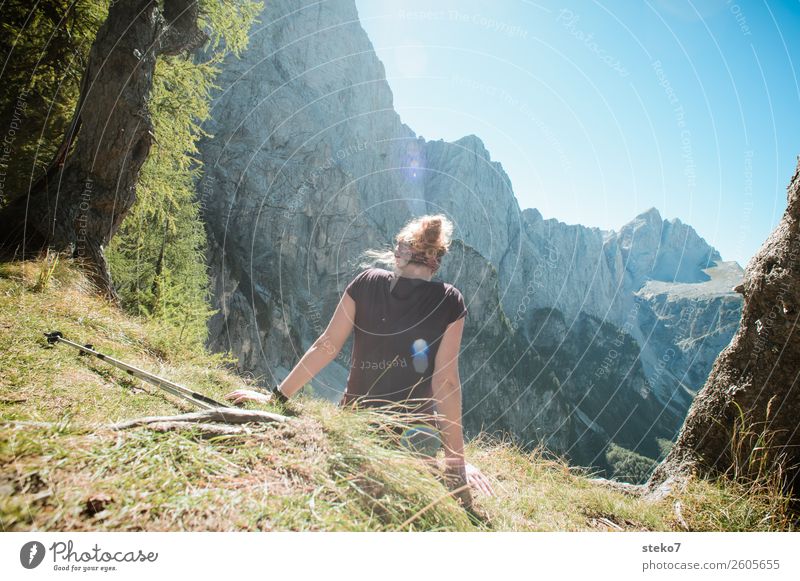 336 Slovenian Mountain Trail Stock Photos - Free & Royalty-Free Stock  Photos from Dreamstime