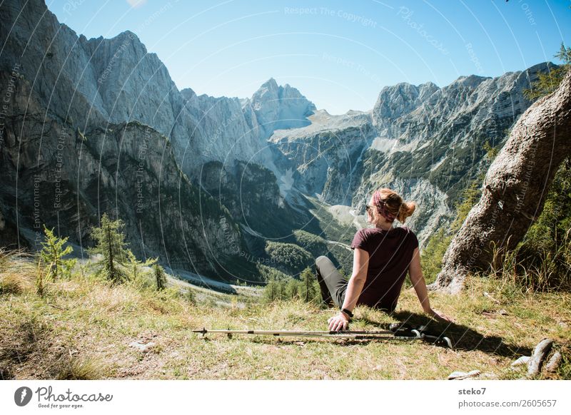 336 Slovenian Mountain Trail Stock Photos - Free & Royalty-Free Stock  Photos from Dreamstime