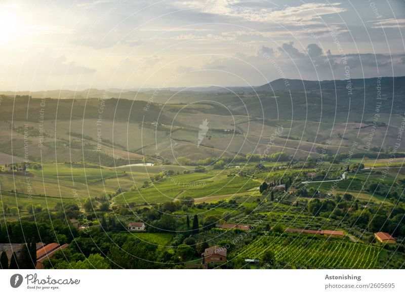 green Tuscany Environment Nature Landscape Air Sky Clouds Horizon Sunrise Sunset Summer Weather Beautiful weather Plant Tree Bushes Meadow Field Hill