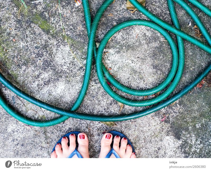 end of season Lifestyle Style Leisure and hobbies Living or residing Garden Feminine Feet Barefoot Women`s feet 1 Human being Flip-flops Garden hose Green Lie