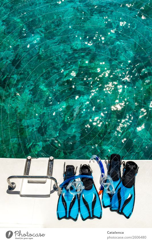 Surfaced; flippers and goggles with snorkel on the stern of a boat, the sea glows turquoise Leisure and hobbies Snorkeling Dive Vacation & Travel