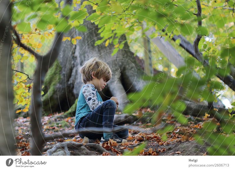 little boy sits on the forest floor and discovers treasures of nature Human being Masculine Child Boy (child) Infancy 1 3 - 8 years Environment Nature Landscape