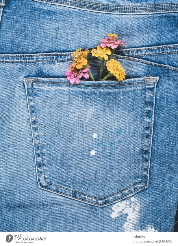 flowers in the back pocket of blue jeans - a Royalty Free Stock Photo from  Photocase