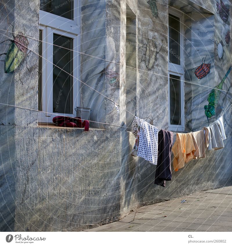 washing day Living or residing Flat (apartment) House (Residential Structure) Wall (barrier) Wall (building) Window Authentic Exceptional Uniqueness Town